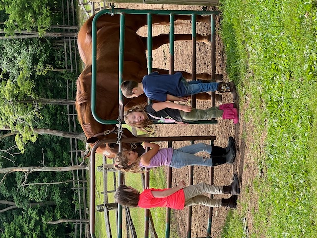 Getting Horses Ready for Camp